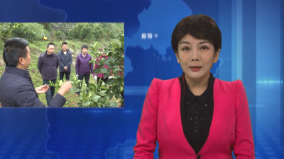 郧阳区农业农村局开展冬季果园管护技术服务