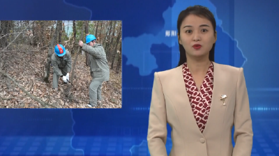 国网郧县供电公司：守护电网安全 确保群众温暖度冬