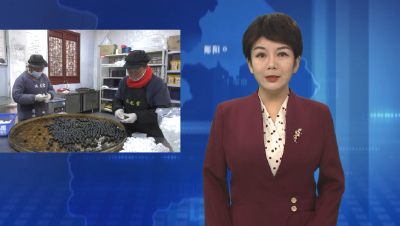 郧阳区大柳乡： 黄精地里生“黄金”