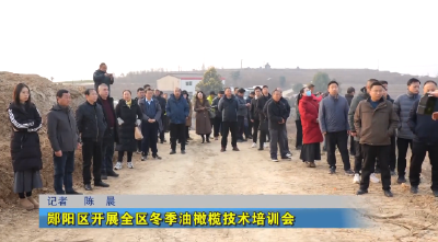 郧阳区开展全区冬季油橄榄技术培训会