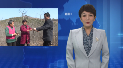 白浪镇全力打造连翘产业特色镇