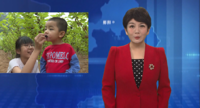 南化塘镇：桑葚满园待客来