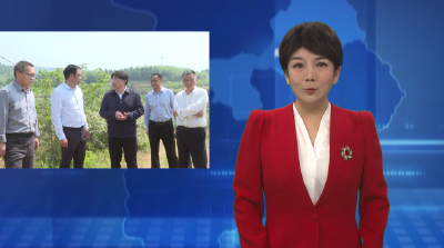 副市长龚举海调研郧阳区高标准农田建设项目