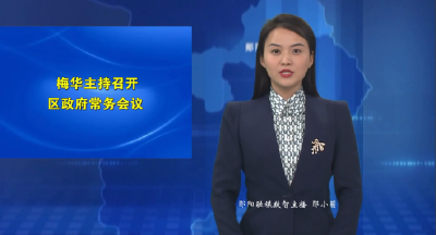 梅华主持召开区政府常务会议
