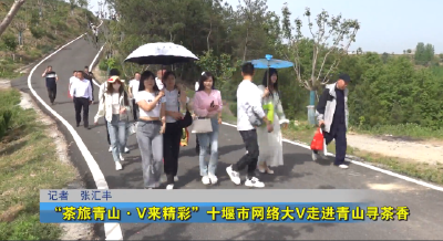 “茶旅青山·V来精彩”十堰市网络大V走进青山寻茶香