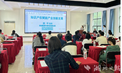 知识产权护航创新 郧阳区五大行动点燃高质量发展引擎