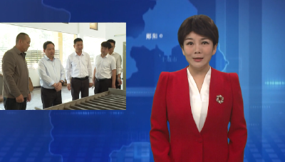 梅华到白桑关镇调研