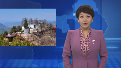 南化塘镇：红“活”绿“兴” 老区焕新颜