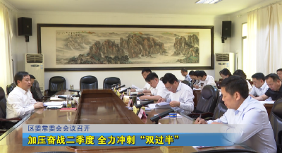 区委常委会会议召开 加压奋战二季度 全力冲刺“双过半”