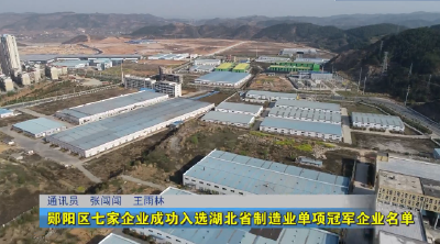 郧阳区七家企业成功入选湖北省制造业单项冠军企业名单