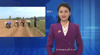 郧阳区多措并举抗旱保收  全力筑牢粮食稳产防线