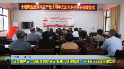 城关镇开展“凝聚共识促发展 党建共建谱新篇”乡村振兴公益捐赠活动