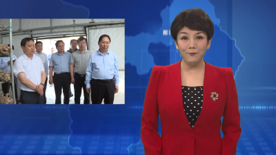 河南省西峡县委书记马俊到郧阳区考察