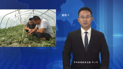 安阳镇：“地膜+滴灌”抗旱组合拳  为西瓜产业保驾护航