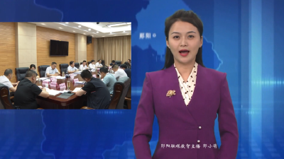 全区招商引资工作专题会召开