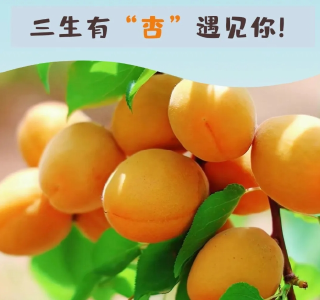 遇见郧阳｜晴热高温！注意防暑抗旱！