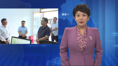 梅华到青山镇调研 坚持富民导向 发挥比较优势   因地制宜培育特色产业集群