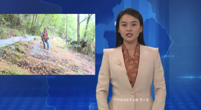 谭家湾镇：林下经济激活生态富民“绿色引擎”