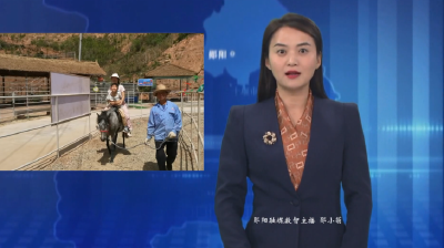 杨俊勇：“萌宠经济”解锁乡村振兴“流量密码”