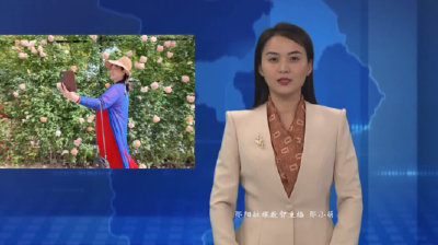 郧阳区开启假期“高峰迎客”模式  邀客乐享“五一”