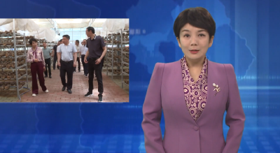 陕西省西乡县考察团到郧阳区考察香菇产业