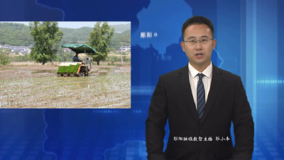 安阳镇：农机“闹”秧田  科技助三夏