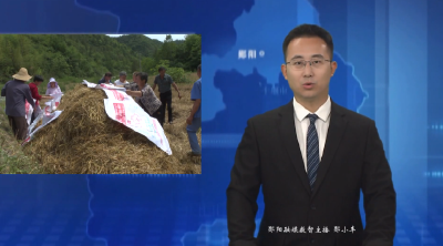 郧阳区：秸秆还田“包袱”变“财富”