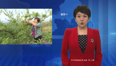 卜家河村：蜂糖李上市  产业增收惠乡邻