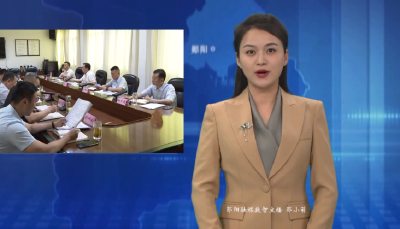 梅华主持召开区委常委会会议 统筹发展和安全 全力防风险守底线促发展