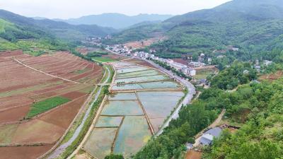 提升能力作风·服务支点建设 | 谭家湾镇：锚定“三镇”目标 打造三产融合示范区