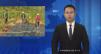 谭家湾镇青山村引水灌溉抗旱保苗