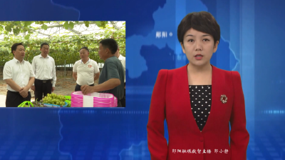 梅华到柳陂镇调研时强调：守正创新 实干实为  以高质量党建引领高质量发展