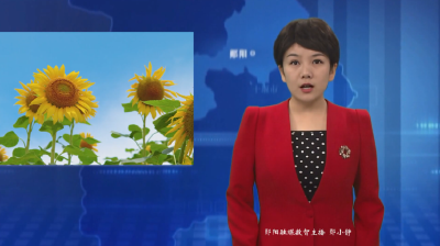 【“宠客”服务进行时】向日葵开迎客来 乡村旅游焕发新活力