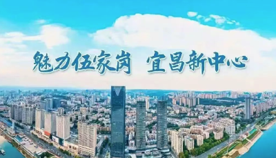 锲而不舍落实中央八项规定精神 | “民益路”变“民意路”，伍家岗小巷深处见初心！