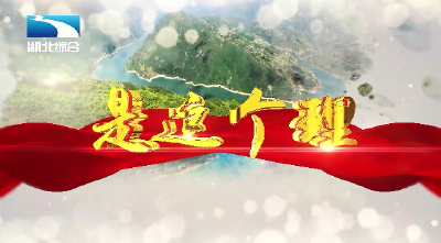 《是这个理》：“达梦”的觉醒年代