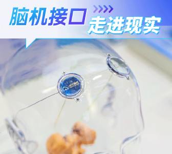 五张图解析湖北“新车头”
