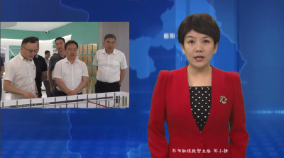 梅华在茶店镇调研时强调 锚定工业强镇目标 聚力推动高质量发展
