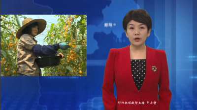 湖北绿道农业：用“好生态”种出“好味道”