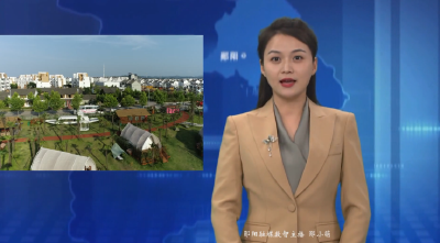 柳陂镇龙韵村：党建引领易迁安置点变幸福风景区