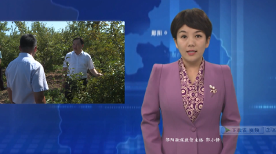 梅华强调：做强做优做大特色优势产业 以高质量党建引领高质量发展