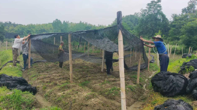 锲而不舍落实中央八项规定精神 | 让“躺平、假忙、占便宜”的村干部靠边站