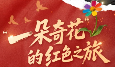“一朵奇花”的红色之旅！