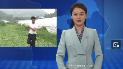 【退役军人风采】张磊：水果“特种兵”的丰收日记