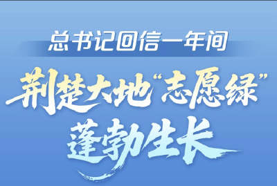 总书记回信一年间，这抹“志愿绿”蓬勃生长