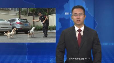 赵宗波：警犬相伴共护平安