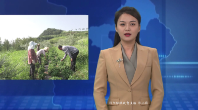 【退役军人风采】习玉林：退役不褪色 实干促振兴