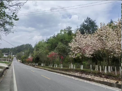 全国美丽公路！G351鹤峰段藏着多少惊喜？