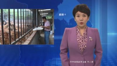 【乡村振兴新农人】新农人董成俊：林下养鹿敲开致富门