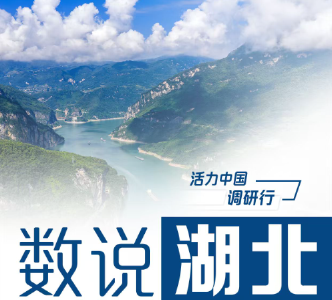 活力中国调研行丨湖北扛牢挑大梁责任
