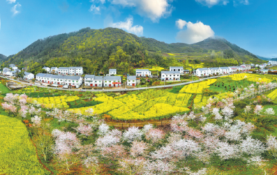 牢记嘱托护碧水 | 郧阳区五峰乡：“古麇国都”焕新颜